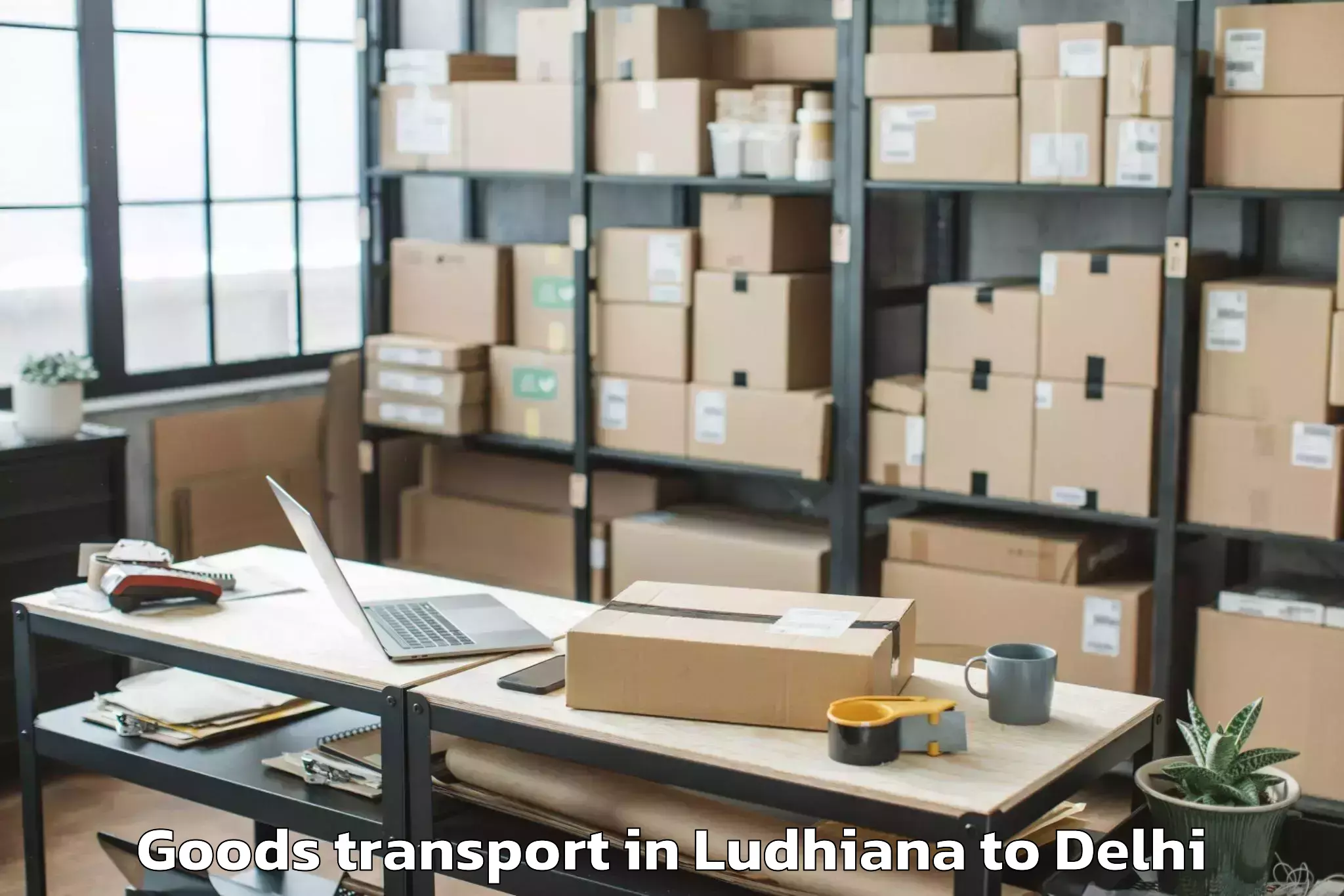 Professional Ludhiana to Aggarwal City Mall Pitampura Goods Transport